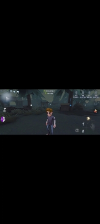 第五人格单透视